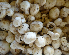 Εικόνα για την κατηγορία Μανιτάρια