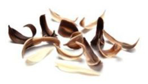 Picture of Willow leaves