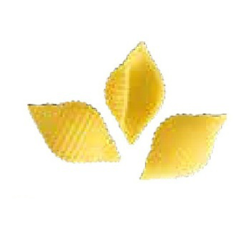 Picture of Conchiglie